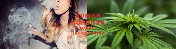 apvp Бугульма