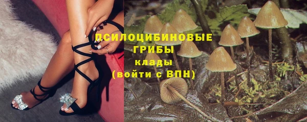 гидропоника Богородск