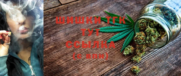 меф Няндома